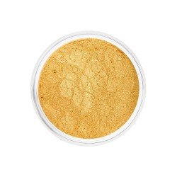 Effektpulver - Chrome Effect - Guld - 01 - Chrome Pigment -glamandbeauty.se